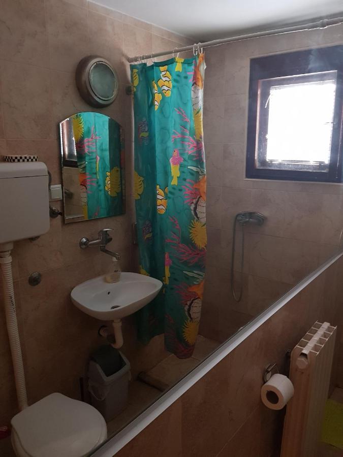 فندق بلغرادفي  Pansion Lug المظهر الخارجي الصورة